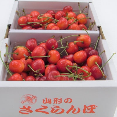 佐藤錦 L玉　1kg(500g×2P)
