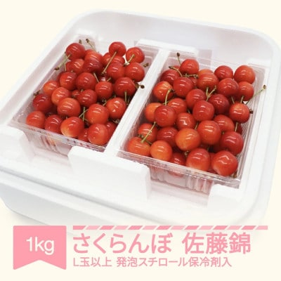 【令和8年産】さくらんぼ 佐藤錦  1kg(500g×2) L玉以上