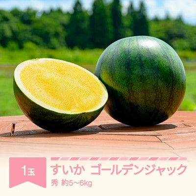 ゴールデンジャック　1玉(5～6kg)