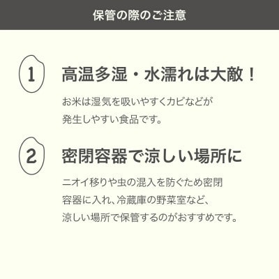 米 はえぬき 精米 10kg 5kg×2袋 令和7年産 2025年産