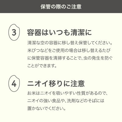 米 はえぬき 精米 10kg 5kg×2袋 令和7年産 2025年産