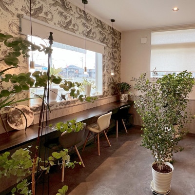 月の世界 シフォンケーキ6個 (4種類詰め合わせ)