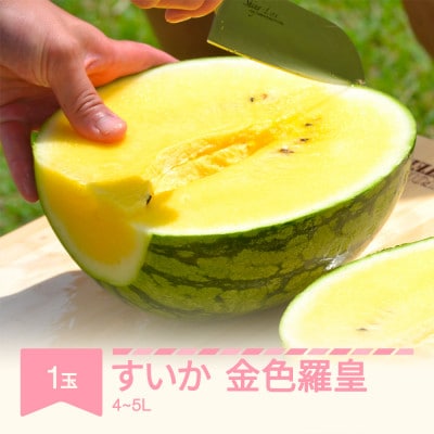 先行予約 すいか 大玉 金色羅皇 4L～5L 1玉