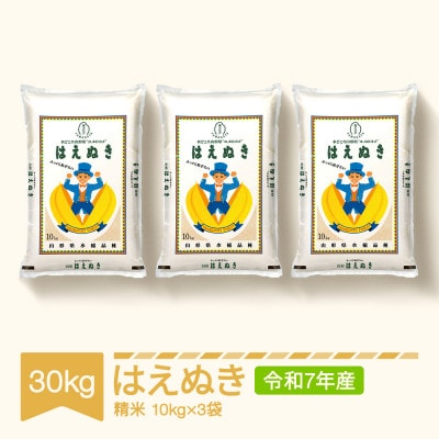 はえぬき　精米　30kg(10kg×3袋)