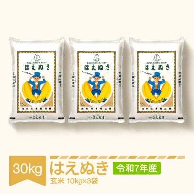 はえぬき　玄米30kg(10kg×3袋)
