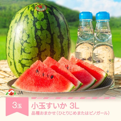 JAみちのく村山産 小玉すいか 品種おまかせ A品3Lサイズ(3玉入り)