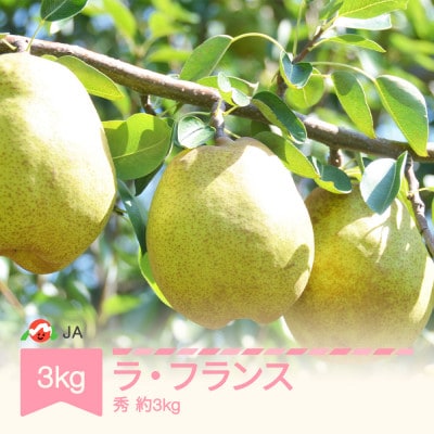 JAみちのく村山産 ラ・フランス 3kg
