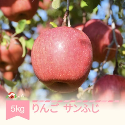 JAみちのく村山産 【りんご】「サンふじ」秀品 約5kg
