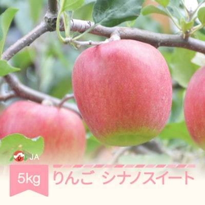 【りんご】「シナノスイート」 　秀品　約5kg