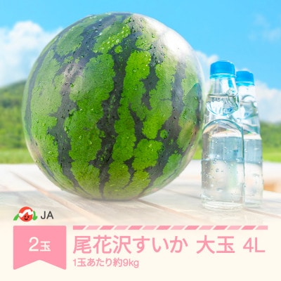 JAみちのく村山産　尾花沢すいか　A品4Lサイズ(2玉入)