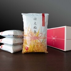 【8月上旬発送】令和2年産 はえぬき 無洗米 20kg(5kg×4)