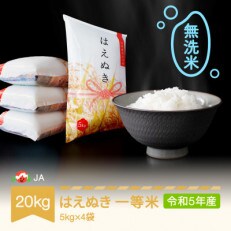 令和5年産 はえぬき 無洗米 20kg(5kg×4)