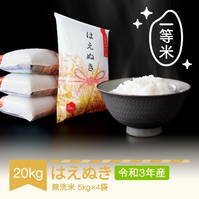 令和3年産 はえぬき 無洗米 20kg(5kg×4)