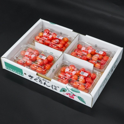さくらんぼ 佐藤錦 ◯秀 M玉以上 200g×4パック 計800g フードパック 2025年産