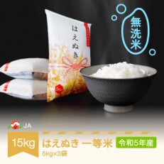 令和5年産 はえぬき 無洗米 15kg(5kg×3)