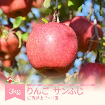 【りんご】「サンふじ」○秀以上 約3kg(7～11玉)