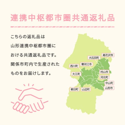 【先行予約】りんご「サンふじ」○秀以上 約3kg 2026年産 令和8年産 山形県産