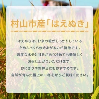 新米 令和8年産 はえぬき 無洗米 5kg