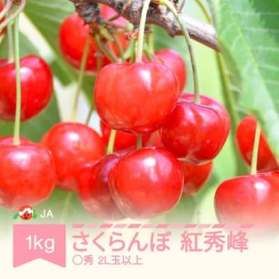 先行予約 さくらんぼ 紅秀峰 1kgバラ ◯秀2L玉以上 2026年産 令和8年産
