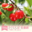 先行予約 さくらんぼ 佐藤錦 バラ詰め 〇秀 L以上 700g 2026年産 令和8年産