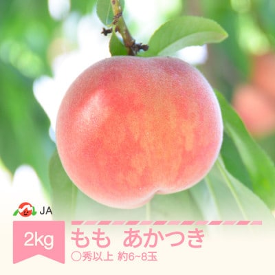 令和8年産 桃 あかつき ◯秀以上 約6〜8玉 計約2kg