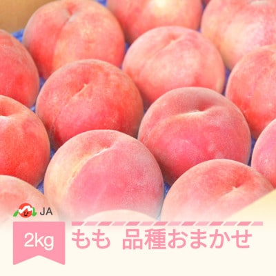 【先行受付】もも 品種おまかせ 約2kg 令和8年産