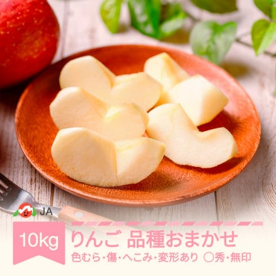 【先行予約】りんご 品種おまかせ 10kg　訳あり(色むら・傷・へこみ・変形)2026年産