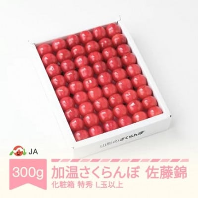 �y��s�\��z������������ ������ 2026�N�Y 300g ���ϔ� ���GL�ʈȏ�