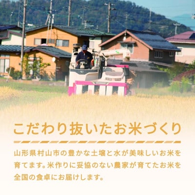 【発送月固定定期便】雪若丸 精米 10kg全3回