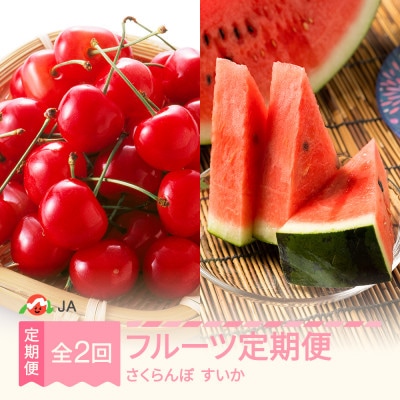 【発送月固定定期便】フルーツ定期便全2回