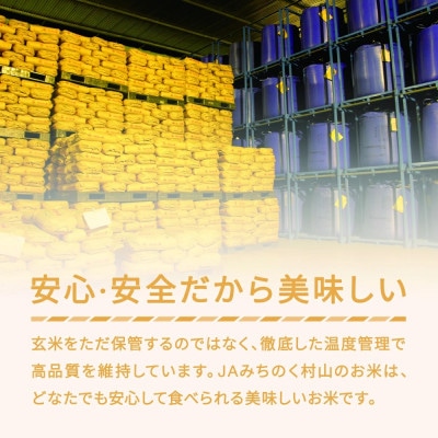 【毎月定期便】はえぬき　無洗米(10kg)全3回