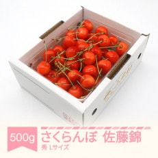 さくらんぼ佐藤錦秀品L玉(約500g&times;1パック)