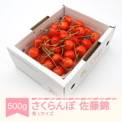 さくらんぼ佐藤錦秀品L玉(約500g×1パック)