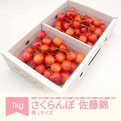 さくらんぼ佐藤錦秀品L玉(約500g×2パック)