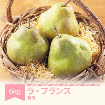 令和7年産　特秀品　ラ・フランス約5kg　山形県産