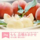 2025年産 山形県産 桃 品種おまかせ 約2kg