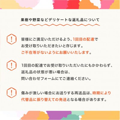 2025年産 山形県産りんご サンふじ 秀 約3kg mm-risfs3