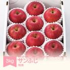 2025年産 山形県産りんご サンふじ 特秀品 約3kg  mm-risft3