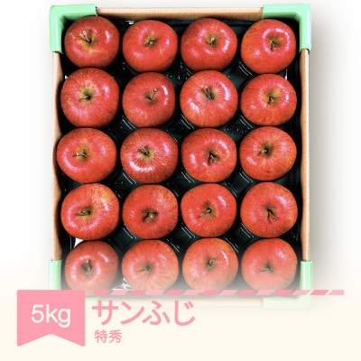 2025年産 山形県産りんご サンふじ 特秀品 約5kg mm-risft5