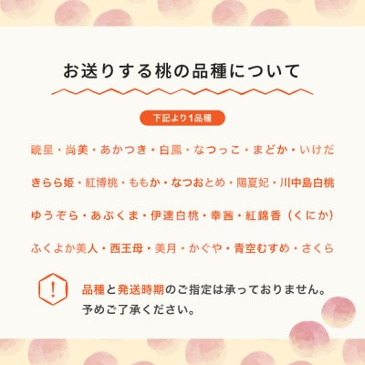 桃 品種おまかせ 約1.4kg 2025年産 山形県産