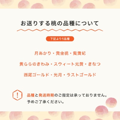 黄桃 品種おまかせ 約1.4kg 2025年産 山形県産