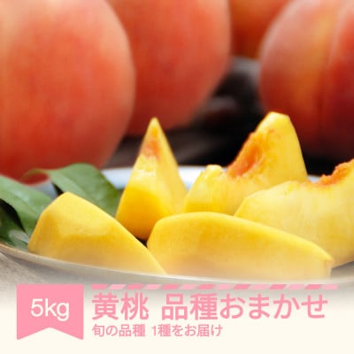 黄桃 品種おまかせ 約5kg 2025年産 山形県産