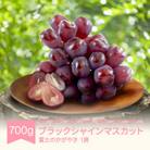 ブラックシャインマスカット 富士のかがやき 約700g 1房 2025年産