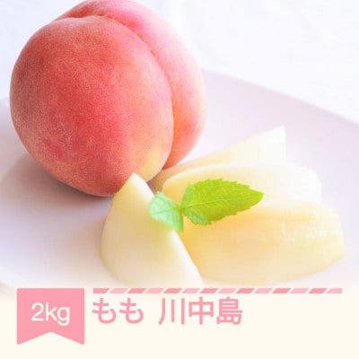 2026年産　桃　川中島　2kg(5-8玉)
