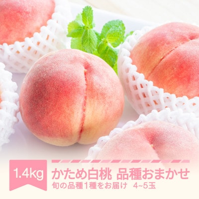 かため白桃おまかせ 桃 品種おまかせ 約1.4kg(4-5玉)