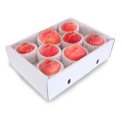 かため白桃おまかせ 桃 品種おまかせ 約2kg(5-9玉)