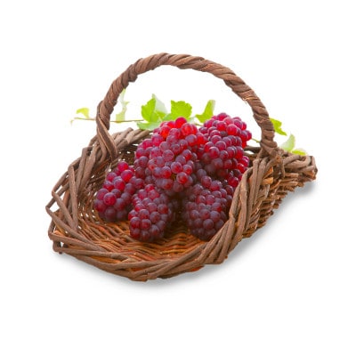 デラウェア 約1.8kg(12-16房)