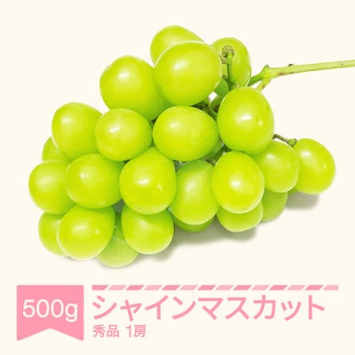 シャインマスカット秀品 500g(1房)