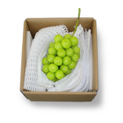 シャインマスカット秀品 500g(1房)