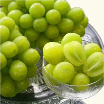 シャインマスカット 秀品 1.4kg(2-3房)　桐箱入